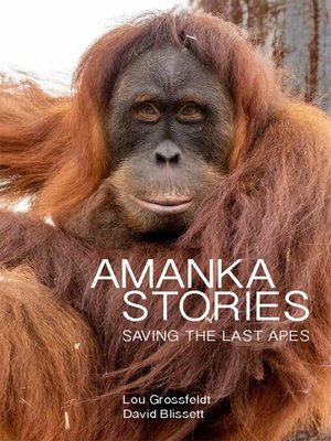 cover image of Amanka Stories